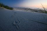 201108142034-AJS_7486.jpg